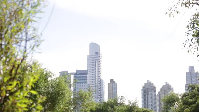 edificios en el bosque