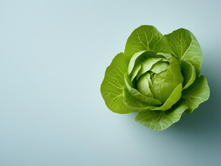 Obraz premium A Fresh Green Cabbage Showcases Its Stunning Spiral Pattern and Vibrant Color, Celebrating Nature's Beauty in a Tightly Packed Head.