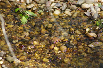 cool clear flowing water