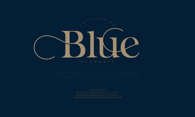 Blue typography beauty fashion elegant minimalist serif italic fonts decorative wedding vintage retro logos. Minimal luxury font alphabet logo. Vector illustration