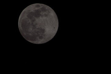 Obraz premium full moon in the night