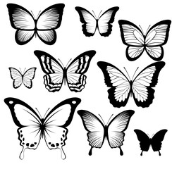 butterfly silhouettes [Convertido]