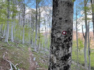 Premuzic hiking trail or Premuzic Trail - Velebit Nature Park, Croatia or Premuzic-Wanderweg or Premuzic's Trail (Pješački planinarski put Premužićeva staza - Park prirode Velebit, Hrvatska)
