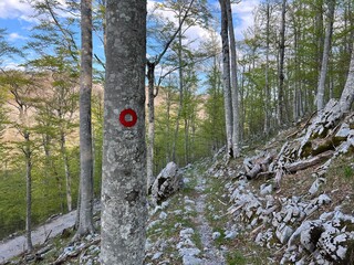 Premuzic hiking trail or Premuzic Trail - Velebit Nature Park, Croatia or Premuzic-Wanderweg or Premuzic's Trail (Pješački planinarski put Premužićeva staza - Park prirode Velebit, Hrvatska)