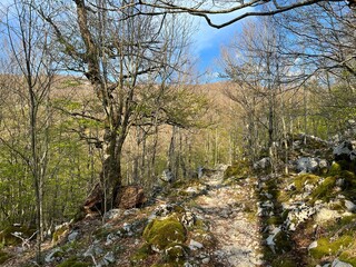 Premuzic hiking trail or Premuzic Trail - Velebit Nature Park, Croatia or Premuzic-Wanderweg or Premuzic's Trail (Pješački planinarski put Premužićeva staza - Park prirode Velebit, Hrvatska)