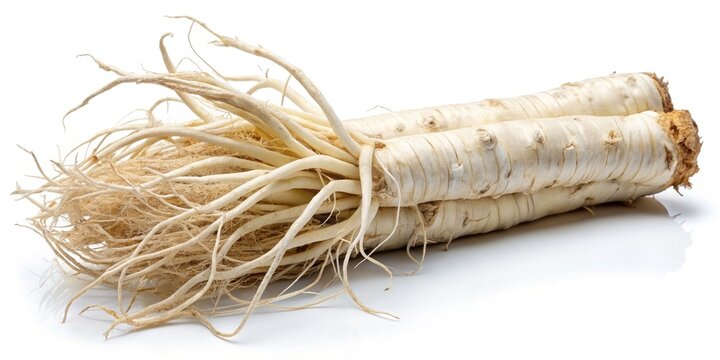 Marshmallow Root Close Up, Herbal Remedy,  White Background, Natural Medicine,  Botanical Photography,  Close-up Image,  High-Resolution Photo