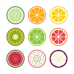 Slice of Round Fruit Vector Illustration