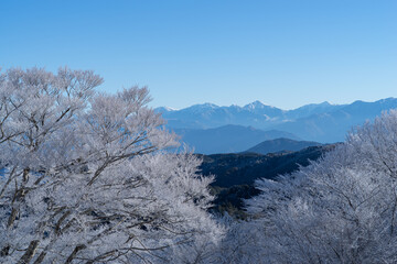 霧氷した木々と冠雪した南アルプスの山々