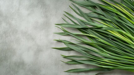 overhead composition of vibrant green onions with feathery tops arranged artistically on neutral surface, emphasizing fresh organic produce and culinary possibilities