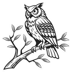 Obraz premium owl black outline vector drawing PNG