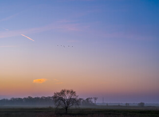 After sunset in the Comacchio Valleys in winter, this wetland is part of the Po Delta Regional Park. Province of Ferrara, Emilia-Romagna, Italy