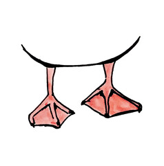 Hand drawn illustration of cute duck or goose feet on a transparent background © The Froggy