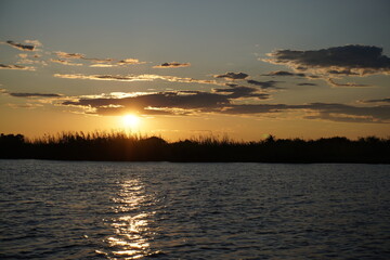 Naklejka premium The beautiful sunset taken from Chobe River in Botswana, Africa.