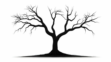 Silhouette of a Bare Tree Stands Starkly Against a White Backdrop with Subtle Ground Shadow