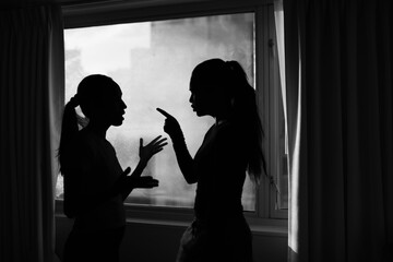 two woman fighting, arguing, having disagreement, blaming, pointing finger, verbal abuse, family...