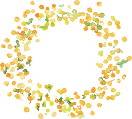 水彩画。水彩タッチのミモザベクターフレーム。春の黄色いミモザベクターフレーム背景。Watercolor. Mimosa vector frame with watercolor touch. Spring yellow mimosa vector frame background.