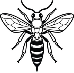 Wasp silhouette vector illustration design, Cute Wasp line art vector, Wasp isolated vector icon design
