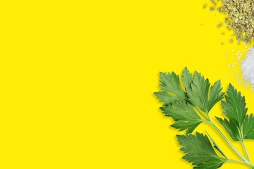 Herbs and Seasoning on Bright Yellow Canvas