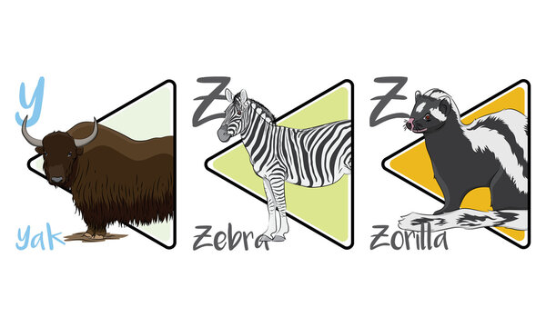 The illustration features three animals with names and letters: a yak, a zebra, and a zorilla. The yak is depicted with long brown fur, the zebra with a distinctive black and white strip and a Zorilla