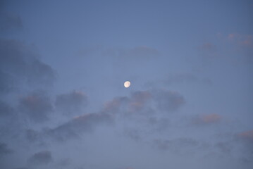 冬の明朝に輝く月