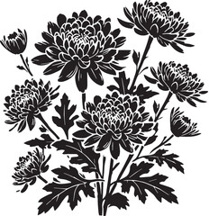 Black Color Chrysanthemums Silhouette Vector Illustration, Solid White Background. minimal vector design