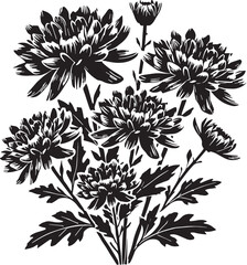 Black Color Chrysanthemums Silhouette Vector Illustration, Solid White Background. minimal vector design