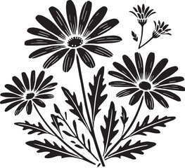 Black Color Daisies Silhouette Vector Illustration, Solid White Background. minimal vector design