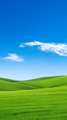 Fototapeta premium digital technology blue sky grass landscape poster background with generative