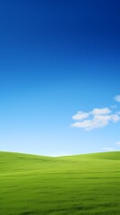 Fototapeta premium digital technology blue sky grass landscape poster background with generative