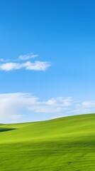 Fototapeta premium digital technology blue sky grass landscape poster background with generative