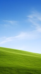 Fototapeta premium digital technology blue sky grass landscape poster background with generative