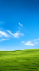 Fototapeta premium digital technology blue sky grass landscape poster background with generative