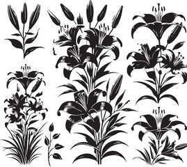 Black Color Lilies Silhouette Vector Illustration, Solid White Background. minimal vector design
