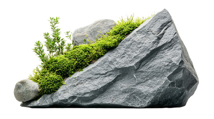 Png of Dark Gray Rock with Vibrant Green Moss and Plants on transparent background.