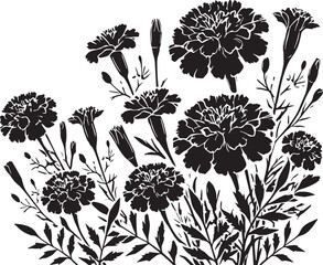 Black Color Marigolds Silhouette Vector Illustration, Solid White Background. minimal vector design