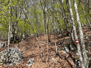 Mountaineering signs and climbing markings in the area of ​​the Velebit Nature Park, Croatia (Planinarske oznake i penjačke markacije na području Parka prirode Velebit, Hrvatska)