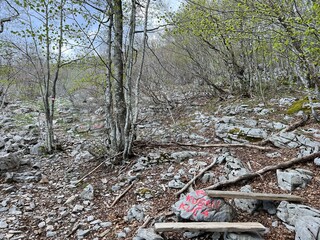 Mountaineering signs and climbing markings in the area of ​​the Velebit Nature Park, Croatia (Planinarske oznake i penjačke markacije na području Parka prirode Velebit, Hrvatska)