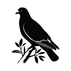 Pigeon Silhouettes Perfect for Logo and Graphic Designs