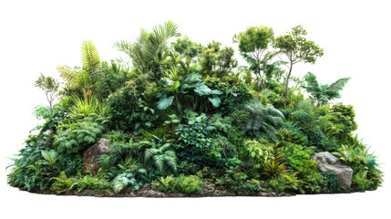 green moss isolated on white background