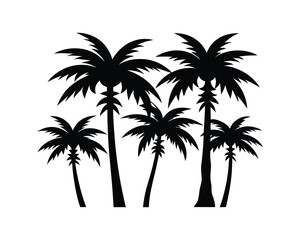 Silhouetted Palm Trees for Tropical Graphic Design