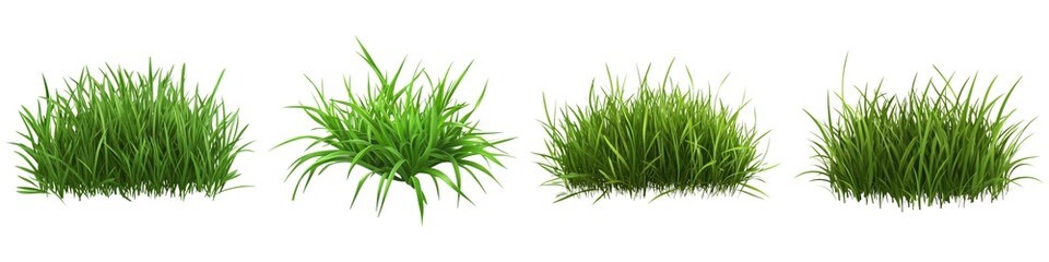 A series of four grass clumps, showcasing different heights and styles of green grass, ideal for landscaping or gardening inspiration.