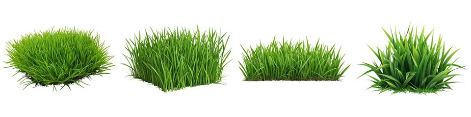 Four distinct clusters of vibrant green grass, showcasing various heights and textures, ideal for landscaping or garden design.