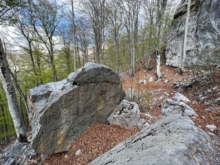 Limestone rocks and karst mountain landscape - Velebit Nature Park, Croatia (Vapnenačke stijene i krški planinski krajolik - Park prirode Velebit, Hrvatska)