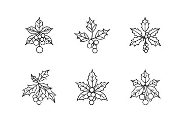 mistletoe line art vector illustration