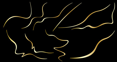 Wavy Fluid Golden Line Art
