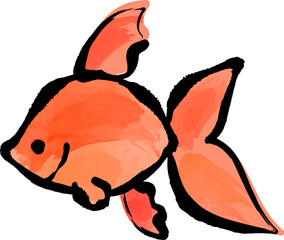 金魚の和風ベクターイラストアイコン 水彩画 白バック 