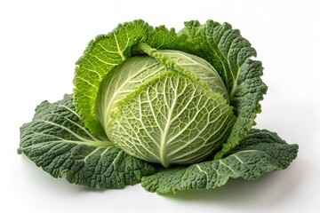 cabbage isolated on white background