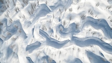 Obraz premium An aerial view of untouched snow fields in Niseko, showing the intricate patterns of the snowy landscape framed by winding forest paths, sharp 4K render