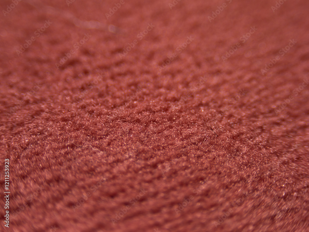 Poster The image is of a red carpet with a fuzzy texture