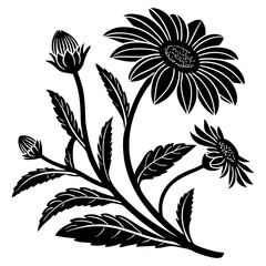 black and white mexican sunflower vector silhouette